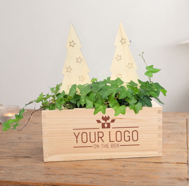 Xmas out of the Box - M