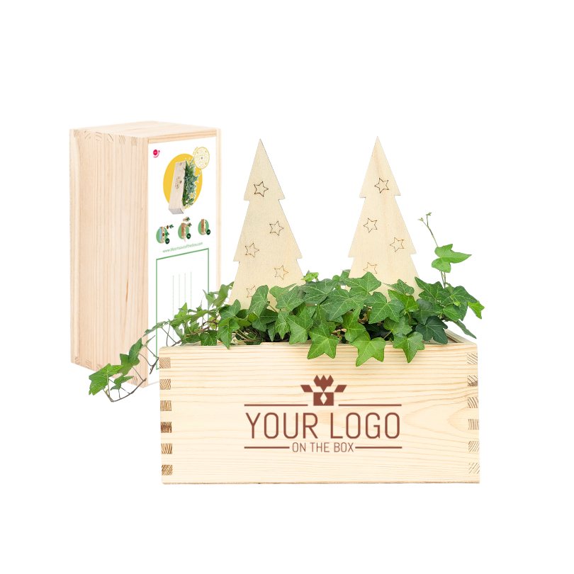 Xmas out of the Box - M