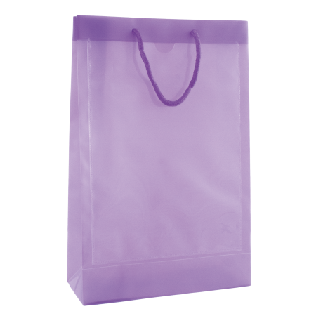 Transparante tas ONBEDRUKT - Donkerpaars