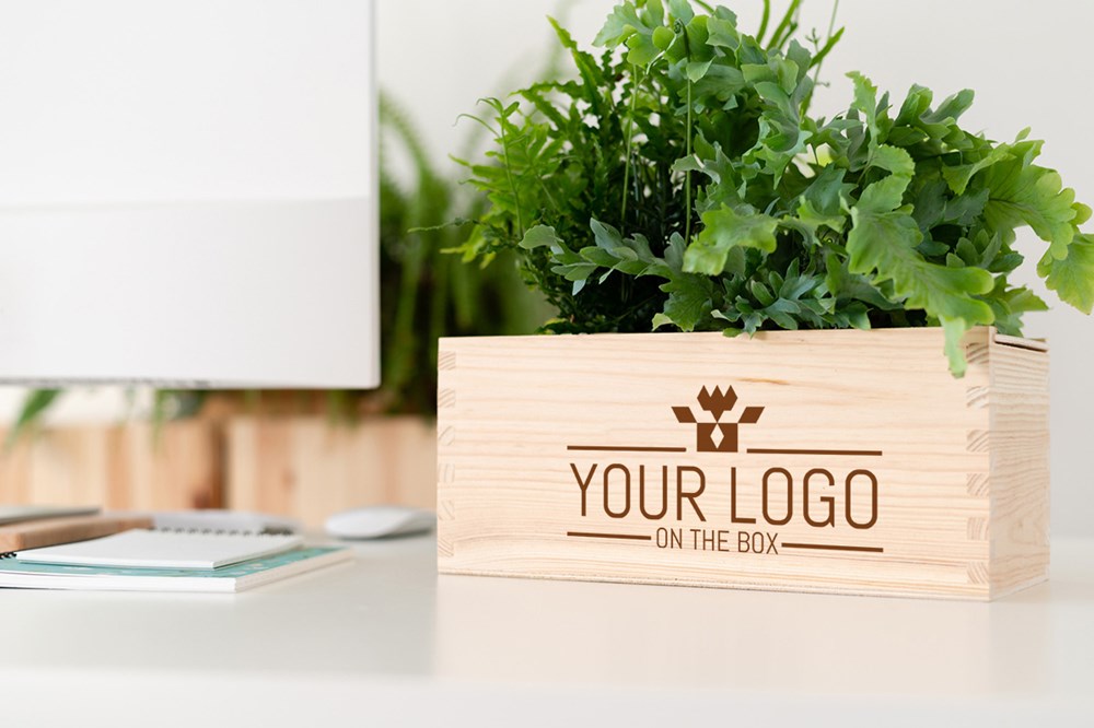 Nature out of the Box - M